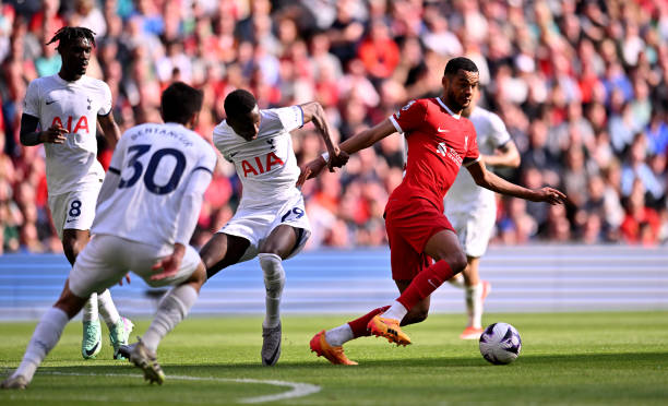 悦同样至关 悦同样至关