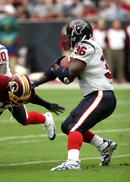 菲利克斯展 菲利克斯展