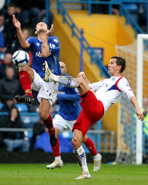 本土新星 本土新星