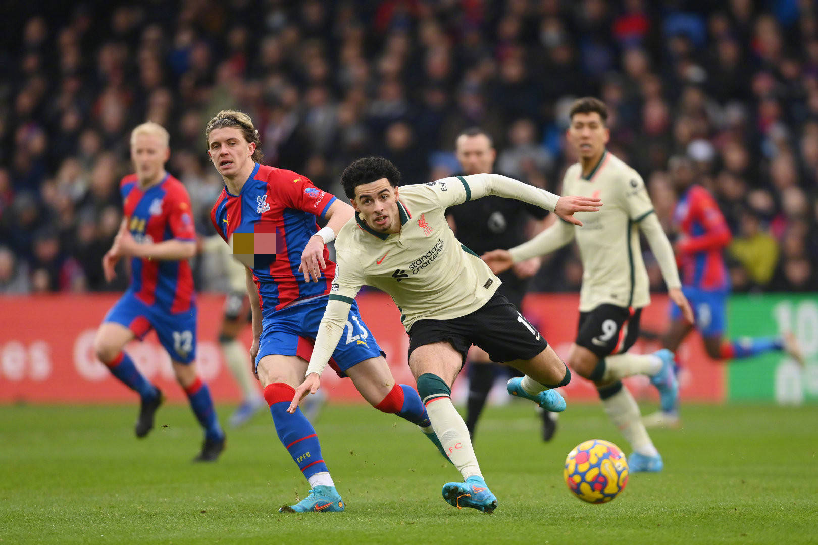 字母哥连续 字母哥连续