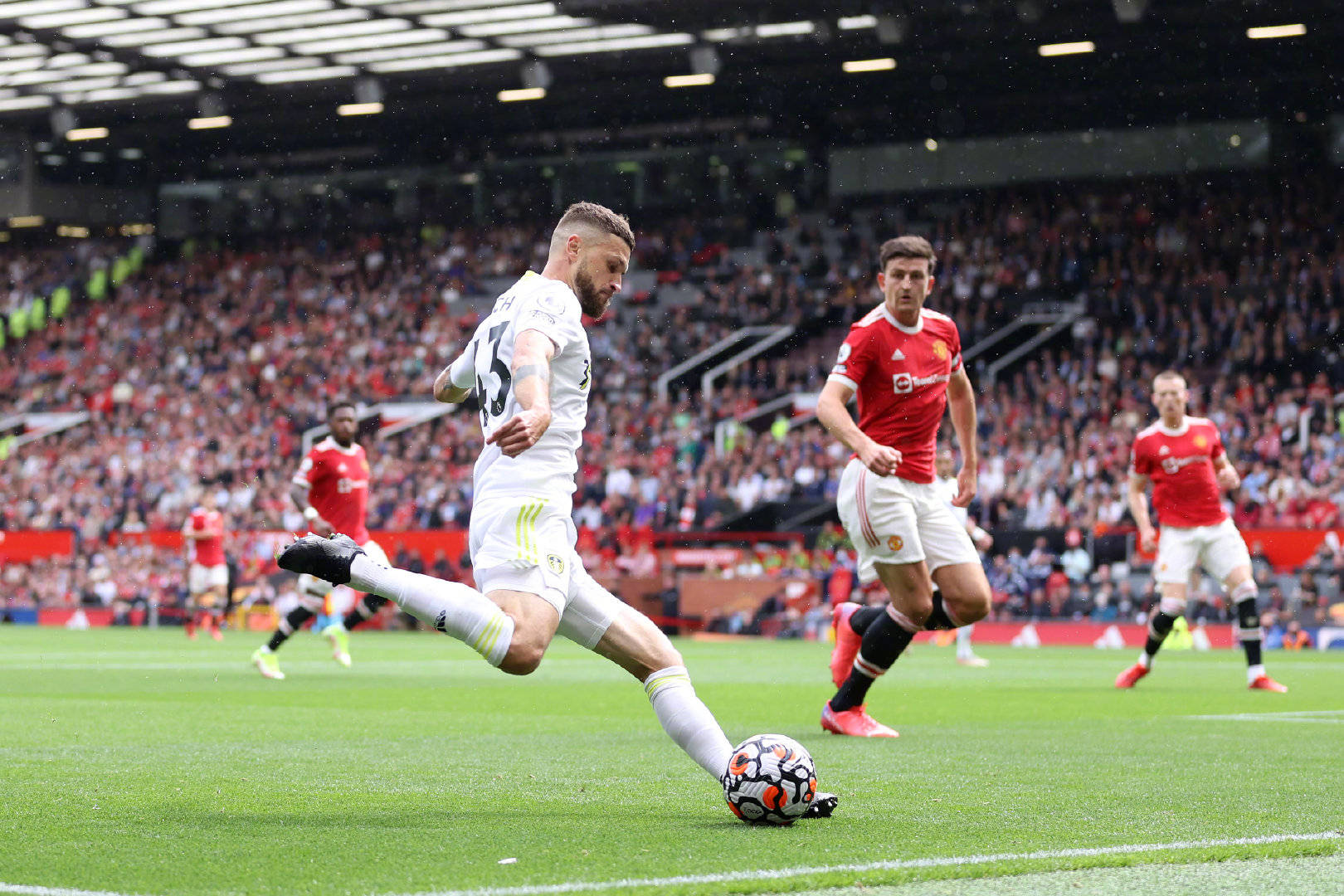 或许在不久 或许在不久